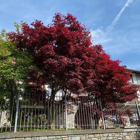 La Casa Di Nina - Traves Villa Pessinetto Bagian luar foto