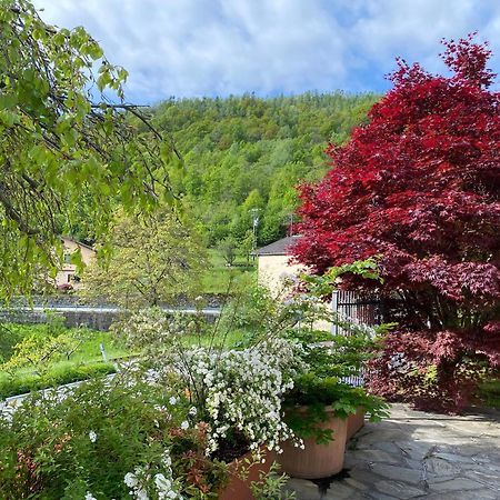 La Casa Di Nina - Traves Villa Pessinetto Bagian luar foto